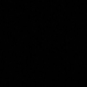 Meet your Posher, Ivy